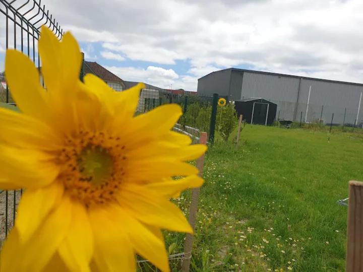 Chambre Calme Dans Une Maison Neuve Avec Jardin Billere Luaran gambar